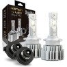 KIT CONV XENON A LED D2S