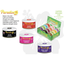AMBIENTADOR LATA SURTIDO PARADISE